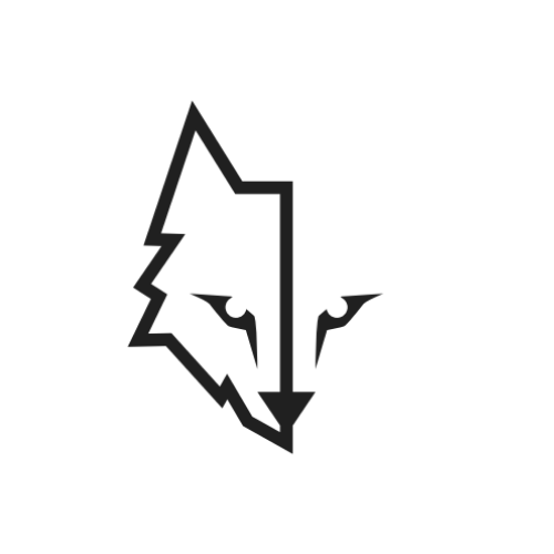 Método Wolffit Online